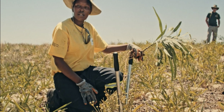 SALT’ın “Bu Son Şansımız mı?” Gösterimi Başlıyor