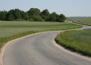 Alternatif Yol Filmleri