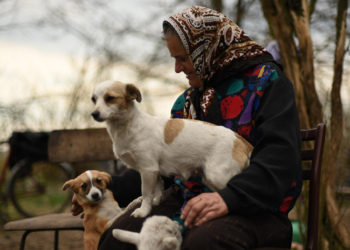 Taskovski, Bucolic’in Haklarını Satın Aldı!