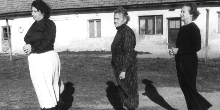 Huzursuzluğun Bakışı: Wind (1996)