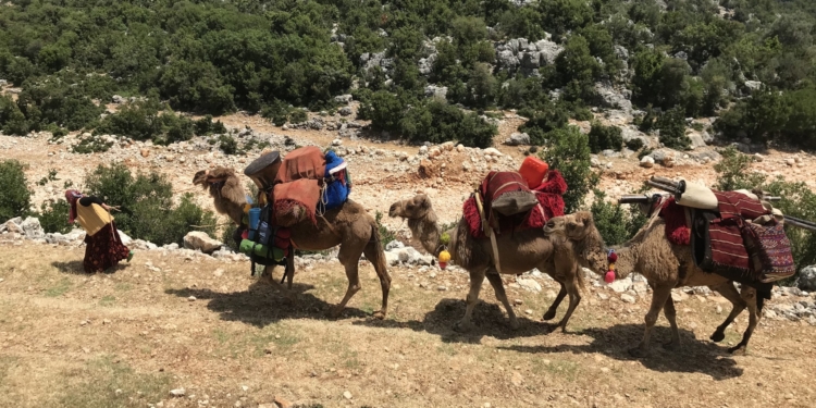 ‘Turna Misali’, Dünya Prömiyerini Tokyo Film Festivali’nde Gerçekleştirecek!