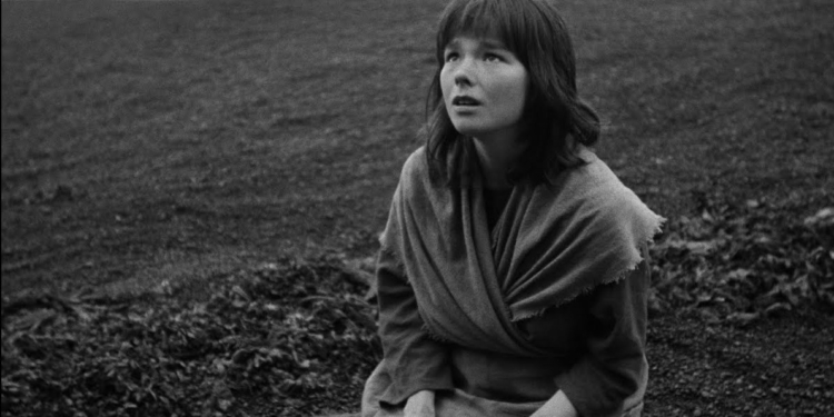 Ruhu Bir Kuşun Kalbine Bağlı: Juniper Tree (1990)