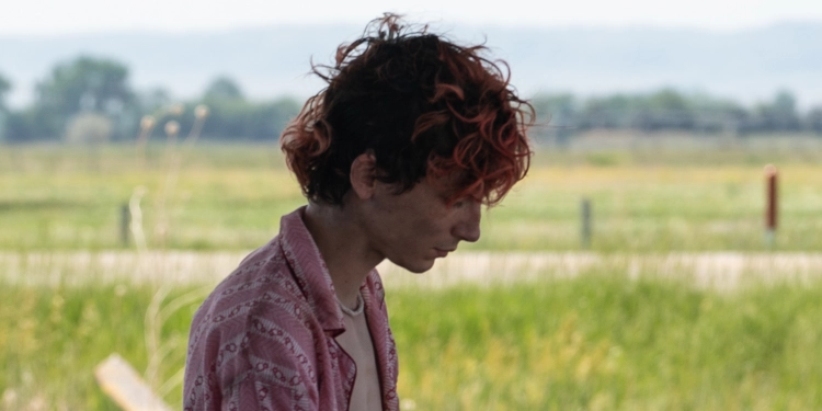 MGM Luca Guadagnino Timothée Chalamet Taylor Russell Bones and All