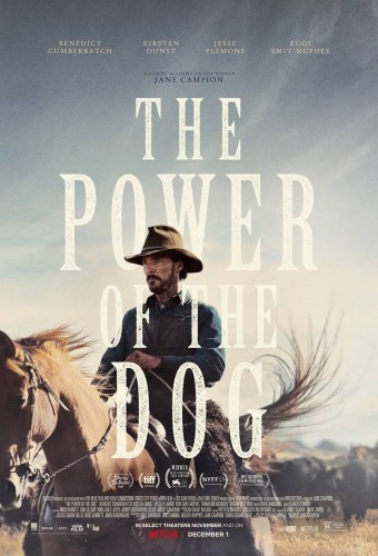 THE POWER OF THE DOG