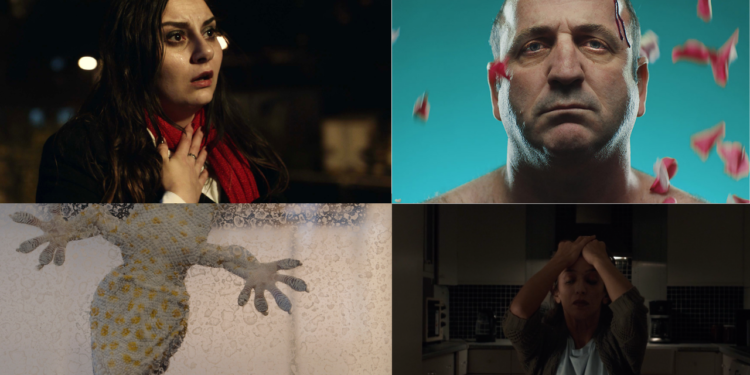 41. İstanbul Film Festivali Kısa Film Seçkisi