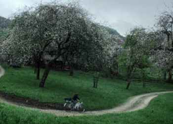 İkimiz Beraber Sığar mıyız Bu Hayata?: Patika (2013)