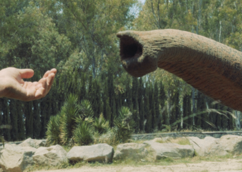 Burak Çevik'in Yeni Filmi "Unutma Biçimleri" 73. Berlin Film Festivali'nde!