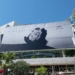 Cannes Film Festivali’nde İlk Günler: Gözü Pek Sinemaseverlerin Meydan Savaşı
