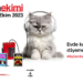 Filmekimi’nin Merakla Beklenen Gösterim Programı Belli Oldu!