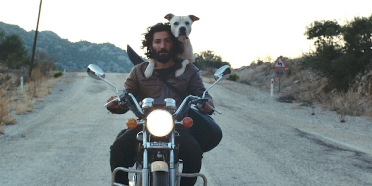 Anadolu İrfanı!: Karanlık Gece (2022)