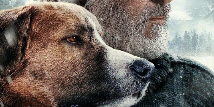 The Call Of The Wild (2020)