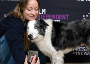 Anatomy of a Fall’un Patili Yıldızı Messi Oscar Töreni’ne Katılmayacak