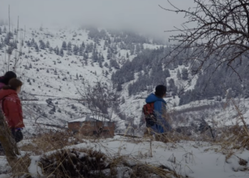 8. Çalı Köy Filmleri Festivali Günlükleri- 3