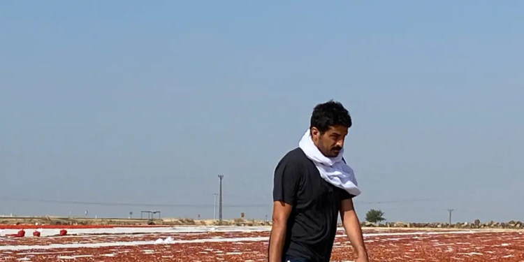 31. Altın Koza Günlükleri-3