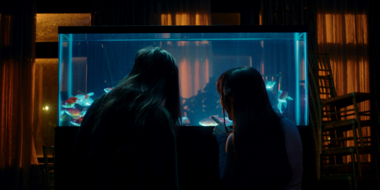 Lucky Fish (2022)