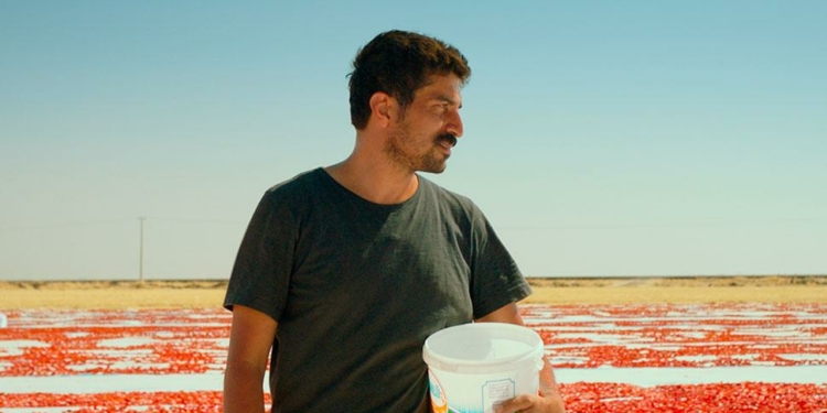 81. Venedik Film Festivali’nden İzlenimler