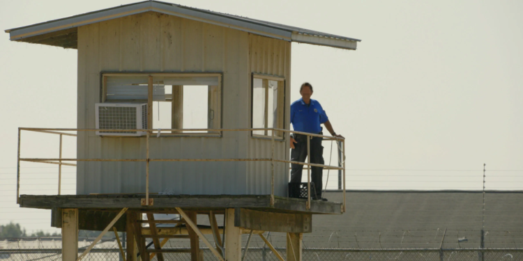 The Alabama Solution ve The Stringer Sundance Film Festivali’nde!