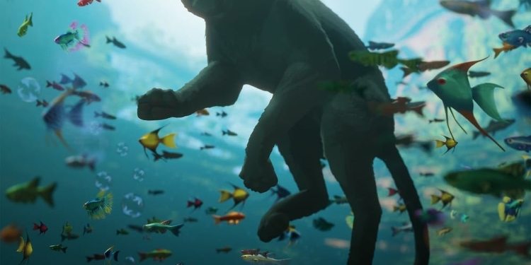 Flow (2024)