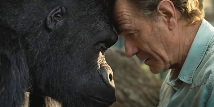 Yaşama Hakkı: Filmlerde Hayvanlar