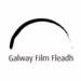 İrlanda’nın En Prestijli Film Festivali Galway Film Fleadh Başlıyor!