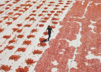 Hemme’nin Öldüğü Günlerden Biri Türkiye’nin Oscar Yolcusu