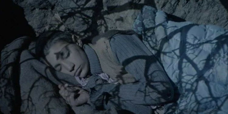 62. Uluslararası Antalya Altın Portakal Film Festivali’nin Kazananları Belli Oldu