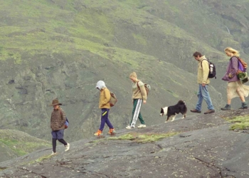 Haftalık Sinema Özeti