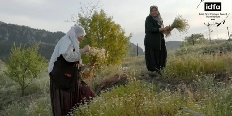 32 Metre, Hot Docs Seçkisinde