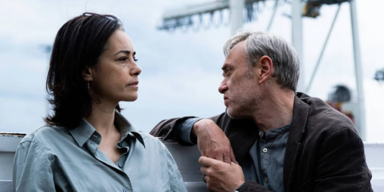 Altın Ayı Ödüllü Sarı Zarflar, Cuma Günü Sinemalarda