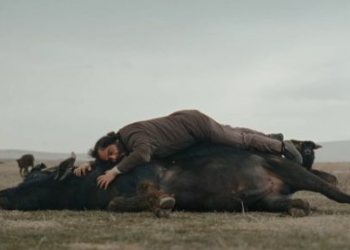 45. İstanbul Film Festivali Günlükleri- 10