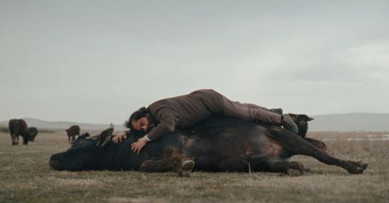 45. İstanbul Film Festivali Günlükleri- 10