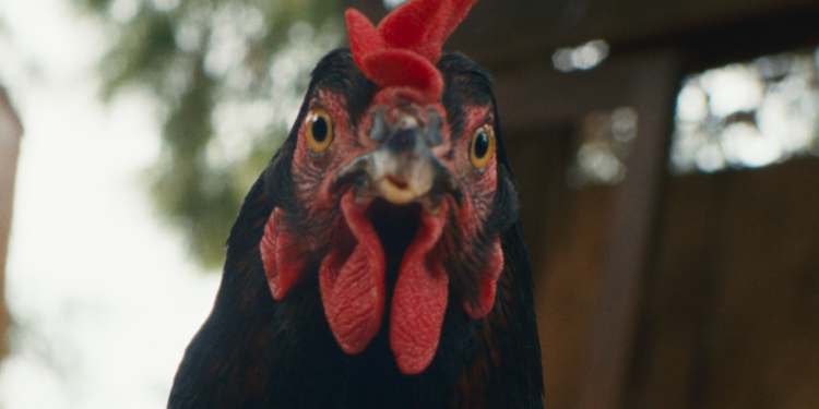 45. İstanbul Film Festivali Günlükleri- 8