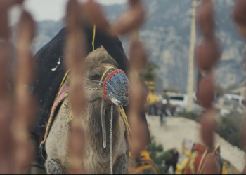 “Sucuk Olmak” Filminin Çekimleri Tamamlandı