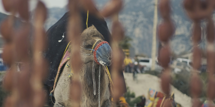 “Sucuk Olmak” Filminin Çekimleri Tamamlandı